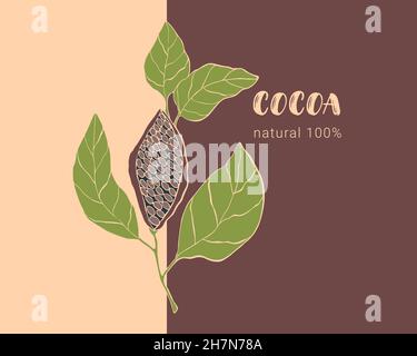 Cocoa design template banner label background. Hand drawing doodling. Contour. Brown. Vector illustration Stock Vector