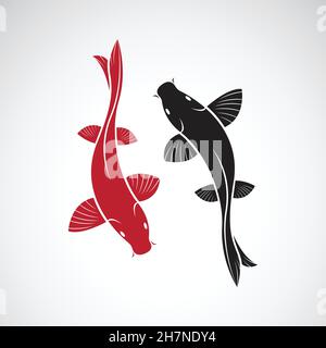 Koi Fish Logo Design Chinese Lucky And Triumph Ornamental Fish Vector Company  Brand Gold Fish Icon Stock Illustration - Download Image Now - iStock