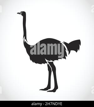 Vector of an ostrich on white background. Easy editable layered vector illustration. Wild Animals. Stock Vector