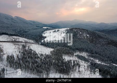 Aerial winter landscape with spruse trees of snow covered forest in cold mountains in the evening. Stock Photo