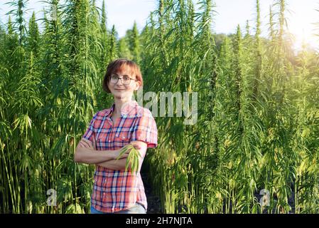 Middle age caucasian female farmer stands under industrial hemp stalks with crossed arms Stock Photo