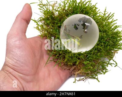Hand with moss and earth globe isolated on white backgroundHand with moss and earth globe isolated on white background Stock Photo