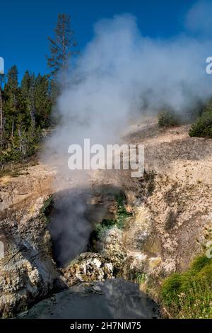 Dragons Mouth Spring, fumarole in Mud Volcano thermal area of Yellowstone National Park, Wyoming, USA Stock Photo