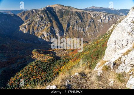 Blick vom Aussichtsgipfel Curevac in die Tara Schlucht, Durmitor Nationalpark, Žabljak, Montenegro, Europa  |    Tara Canyon seen from Curevac viewpoi Stock Photo