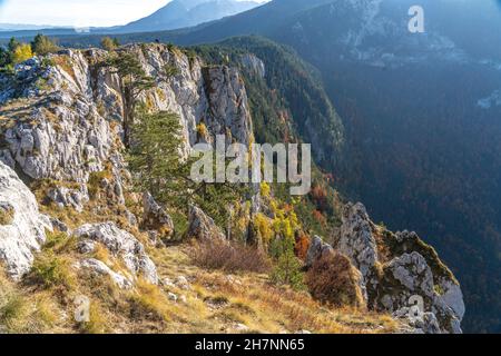 Blick vom Aussichtsgipfel Curevac in die Tara Schlucht, Durmitor Nationalpark, abljak, Montenegro, Europa  |    Tara Canyon seen from Curevac viewpoi Stock Photo