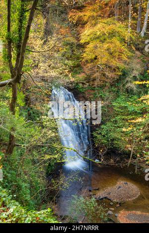 Falling Foss Waterfall, Sneaton Forest, Whitby, The North Yorkshire Moors, England Stock Photo