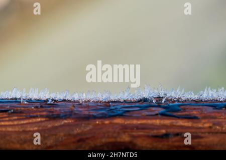 Frost crystals on a tree trunk. Wood covered with natural structure of standing ice crystals. Concepts of winter, cold temperature, hoarfrost. Macro. Stock Photo