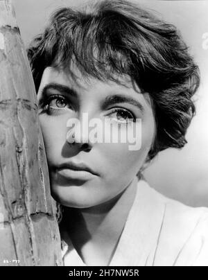 Joan Collins Sea Wife  Year: 1957  UK Director: Bob McNaught Stock Photo