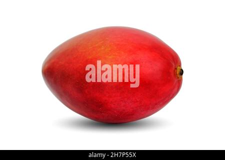 Ripe Mango fruit isolated on white background close up. Stock Photo