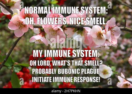 Allergy funny meme for social media sharing. Spring season allergic hay fever problems. Stock Photo