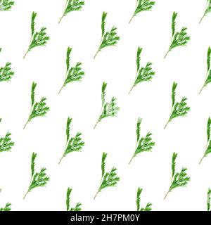 Fresh green rosemary leaves, twigs and branches seamless pattern on white background. Stock Photo