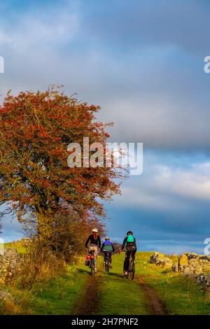Three women mountain biking at Middleton Moor near Wirksworth close to the High Peak Trail in the Derbyshire Dales Peak District England UK Stock Photo
