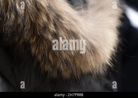 female fur neck cloth detail Stock Photo