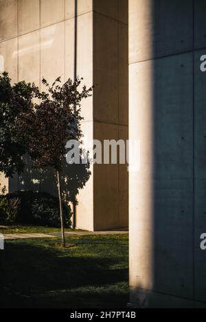 A vertical shot with a shallow depth of field of two grey concrete walls made of rectangular slabs with area in-between, evening sunlight lit one wall Stock Photo