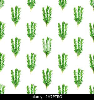Fresh green rosemary leaves, twigs and branches seamless pattern on white background. Stock Photo