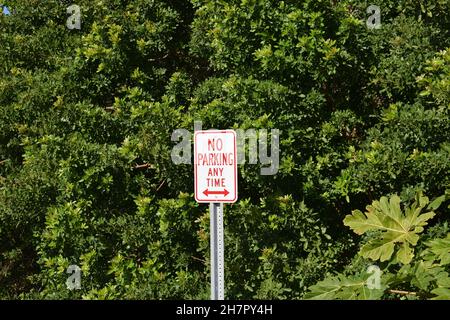 A no parking sign on a metal pole. Stock Photo