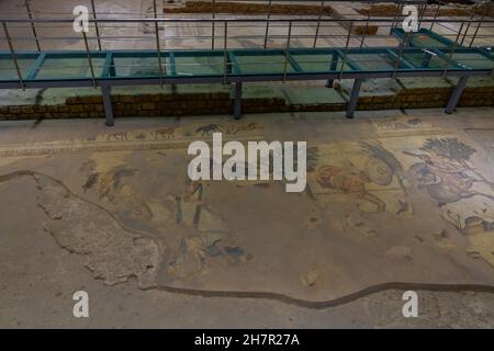 Sanliurfa Turkey - 8.16.2021: Mosaics in Haleplibahce Mosaic Museum in Sanliurfa Stock Photo