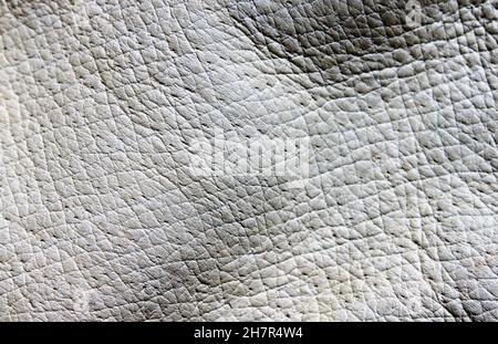 a leather light gray surface close up Stock Photo