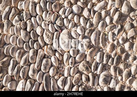 White pebble in concrete path. Top view stone background. Seaside pebble photo texture. Stone paving surface. White marbles flat lay background. Natur Stock Photo