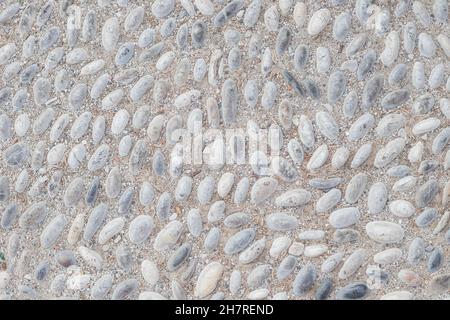 White pebble in concrete path. Top view stone background. Seaside pebble photo texture. Stone paving surface. White marbles flat lay background. Natur Stock Photo