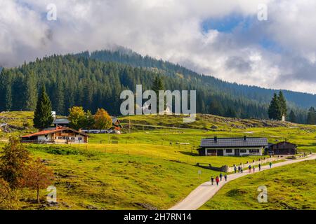 Winklmoosalm or Winklmoos Alp, high plateau 1170m ASL, Reit im Winkl, Chiemgau, Upper Bavaria, Bavarian Alps, Southern Germany, Europe Stock Photo