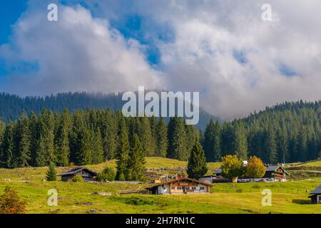 Winklmoosalm or Winklmoos Alp, high plateau 1170m ASL, Reit im Winkl, Chiemgau, Upper Bavaria, Bavarian Alps, Southern Germany, Europe Stock Photo