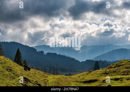 Winklmoosalm or Winklmoos Alp, high plateau 1170m ASL, Reit im Winkl, Chiemgau, Upper Bavaria, Bavarian Alps, Southern Germany, Europe Stock Photo