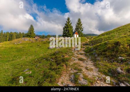 Winklmoosalm or Winklmoos Alp, high plateau 1170m ASL, Reit im Winkl, Chiemgau, Upper Bavaria, Bavarian Alps, Southern Germany, Europe Stock Photo