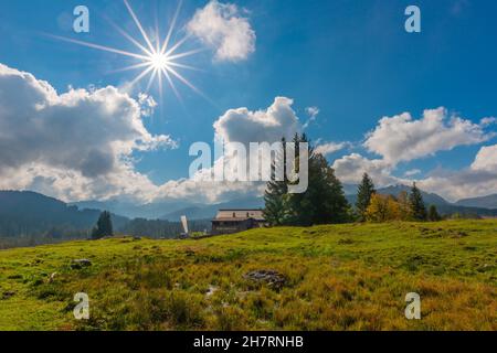 Winklmoosalm or Winklmoos Alp, high plateau 1170m ASL, Reit im Winkl, Chiemgau, Upper Bavaria, Bavarian Alps, Southern Germany, Europe Stock Photo