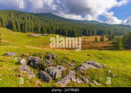 Winklmoosalm or Winklmoos Alp, high plateau 1170m ASL, Reit im Winkl, Chiemgau, Upper Bavaria, Bavarian Alps, Southern Germany, Europe Stock Photo