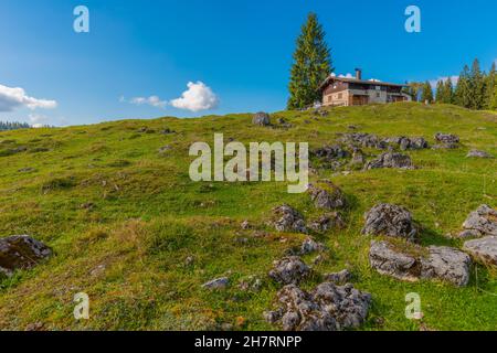 Winklmoosalm or Winklmoos Alp, high plateau 1170m ASL, Reit im Winkl, Chiemgau, Upper Bavaria, Bavarian Alps, Southern Germany, Europe Stock Photo