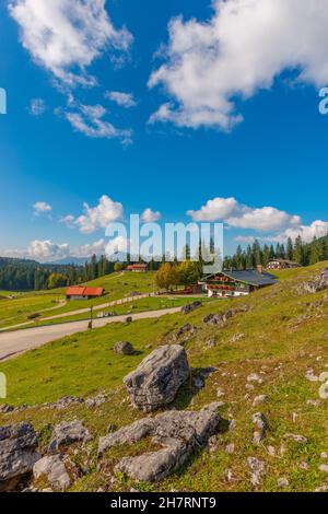 Winklmoosalm or Winklmoos Alp, high plateau 1170m ASL, Reit im Winkl, Chiemgau, Upper Bavaria, Bavarian Alps, Southern Germany, Europe Stock Photo