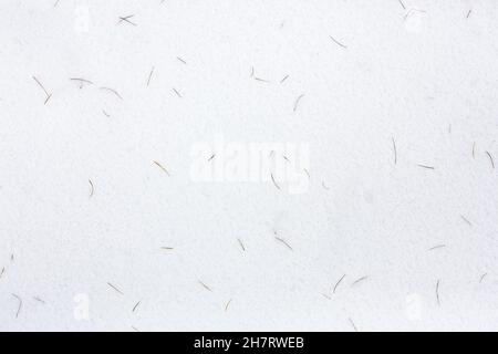 Close-up image of the snow covered forest floor with fallen Pine needles scattered around, creating an  abstract background or textures image. Stock Photo