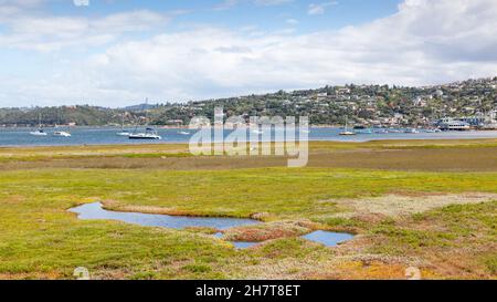 Yachts moored in the Knysna Lagoon in South Africa's Garden Route. Stock Photo