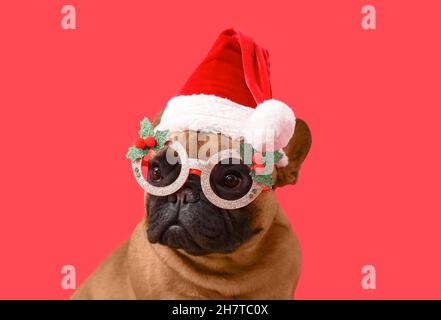 Cute French bulldog wearing Santa hat and glasses on color background Stock Photo