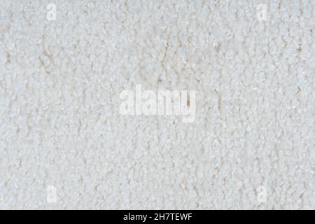 Carpet covering background. Pattern and texture of gray colour carpet. Copy space . High quality photo Stock Photo