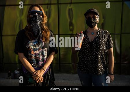 Lucy Aguirre and Violeta Silva, two visual artists who collaborate to paint the mural on the Luis Encinas boulevard bridge in Sonora by members of the Sangre del Desierto collectives with graffiti street art with images of the bighorn sheep, hummingbird, bees, tabachin and saguaros and the Sonora desert on November 24, 2021 in Sonora. (Photo by Luis Gutierrez / Norte Photo)  Lucy Aguirre y Violeta Silva dos artistas visuales que colaboran el pintar el mural en el puente bulevar Luis Encinas en Sonora por integrantes de los colectivos Sangre del Desierto con arte callejero del Grafiti con image Stock Photo