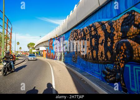 Mural on the Luis Encinas boulevard bridge in Sonora by members of the Sangre del Desierto collectives with graffiti street art with images of the bighorn sheep, hummingbird, bees, tabachín and sahuaros and the Sonoran desert on November 24, 2021 in Sonora. Gila monster, Monstruo de Gila (Photo by Luis Gutierrez / Norte Photo)  Mural en el puente bulevar Luis Encinas en Sonora por integrantes de los colectivos Sangre del Desierto con arte callejero del Grafiti con imágenes del borrego cimarrón,  colibrí, abejas, tabachín y  sahuaros y del desierto de Sonora el 24 de Noviembre 2021 en Sonora.(P Stock Photo