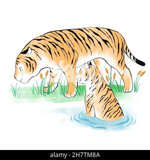 2022 year of tiger, two tigers playing in summer forest Stock Photo