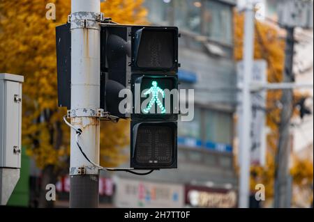 A traffic light with a green pedestrian traffic light on. South Korea Stock Photo
