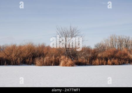 Winter landscape. Trees without leaves grow near river bank, frozen water is covered with snow after heavy snowstorm, clear weather and blue sky Stock Photo