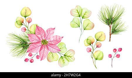 Watercolor Christmas set of elements. Transparent poinsettia pink flowers, holly berries, pine tree branches set. Abstract composition for winter Stock Photo