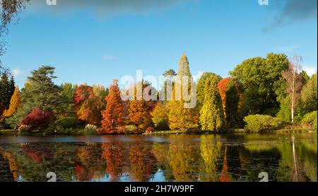 A picturesque landscape at Sheffield park in the autumn as trees are changing colours being reflected in the lake. Stock Photo