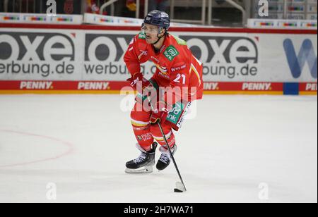 firo: 21.11.2021 Ice Hockey DEL Penny Bundesliga Season 2021/2022 DvÂºsseldorfer EG, Duesseldorfer EG, DEG - STRAUBING TIGERS DEG, Brendan OÂ‚Ã „Ã´Donnell Stock Photo