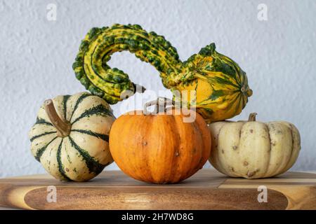 a collection mini pumpkins of various types and shapes on a wooden chopping board Stock Photo