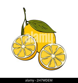 Citrus lemon fruit with leaves, cut halves of a slice, coloring hand drawing contour doodling, isolated, white background. Vector illustration Stock Vector