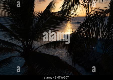 Palm trees and the setting sun on the island of Bonaire - Dutch Caribbean Stock Photo