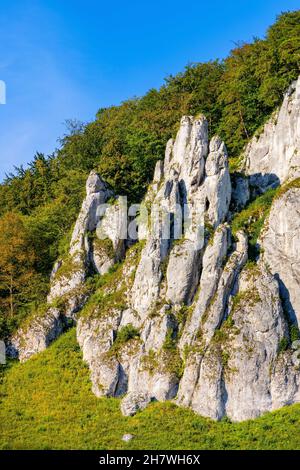 Crown rocks - Skaly Koronne - Jurassic limestone mountain massif with Glove Rock - Rekawica - in Pradnik creek valley of Cracow-Czestochowa upland in Stock Photo