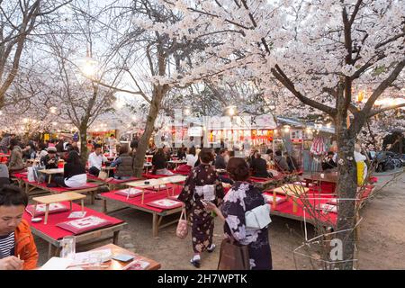 Kyoto, Japan, Cherry blossom viewing at Cherry blossom festival inside Maruyama-Koen Park Stock Photo