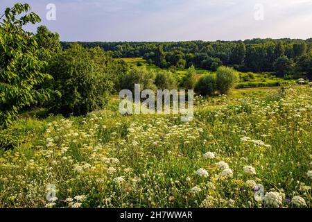 Panoramic view of Las Kabacki Forest reserve seen from Gorka Kazurka hill in Kabaty district of Warsaw in central Poland Stock Photo